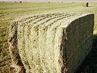 High Country Ranch Services Nevada