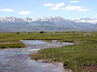 High Country Ranch Services Nevada