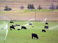 High Country Ranch Services Nevada