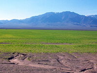 High Country Ranch Services Nevada