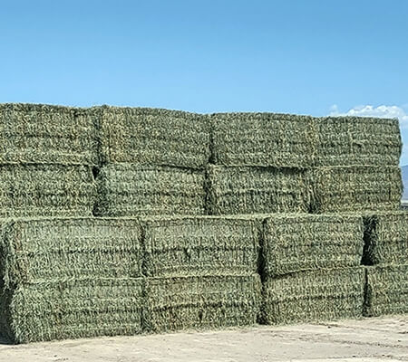 Big Bale Hay Stack Stock - High Country Ranch Services