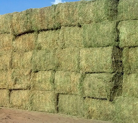 Hay Stack Stock - High Country Ranch Services