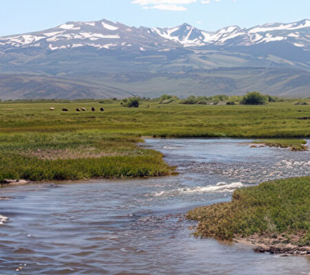 NV Irrigated Pasture - High Country Ranch Services