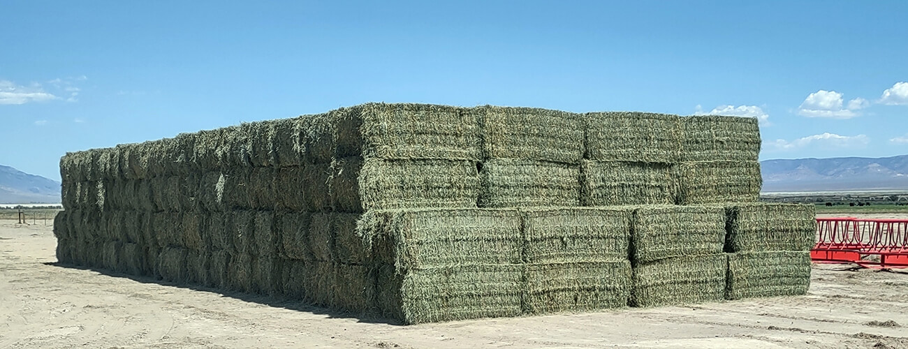 Big Bale Hay Stack Stock - High Country Ranch Services