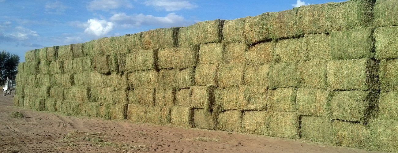 Hay Stack Stock - High Country Ranch Services