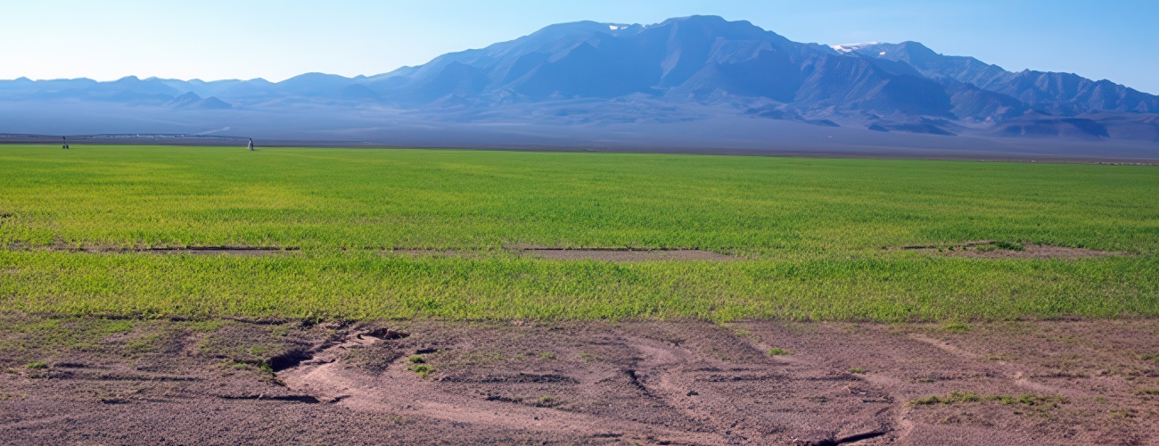 NR P2 Grain - High Country Ranch Services