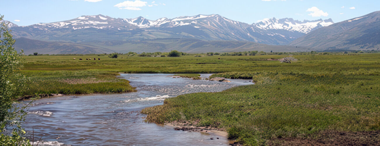 NV Irrigated Pasture - High Country Ranch Services